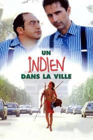 En indian i stan
