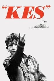 Kes – falken