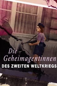 Female Spies: Courage and Espionage in WWII