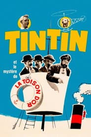 Tintin i piraternas våld