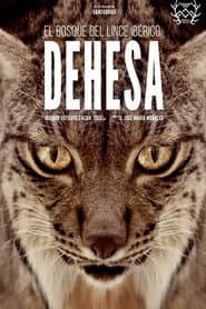 Land of the Iberian Lynx