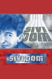 Sivi dom