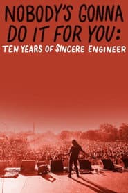 Nobody’s Gonna Do It For You: Ten Years of Sincere Engineer