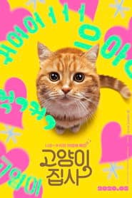 고양이 집사