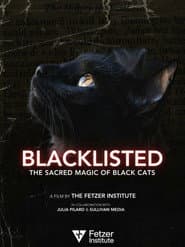 Blacklisted