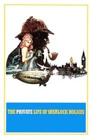 Sherlock Holmes - privatögat privat