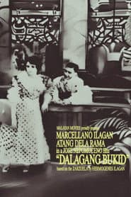 Dalagang bukid