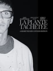 La Plante Tachetée