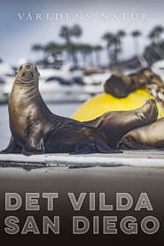 Det Vilda San Diego