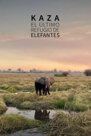 Kaza. El último refugio de elefantes