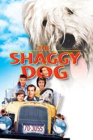 Shaggy ä'de'du de'?