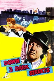 Till polisens förfogande
