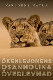 Ökenlejonens osannolika överlevnad