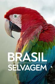 Brazil Untamed