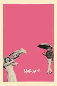 Morgan – hur galen som helst