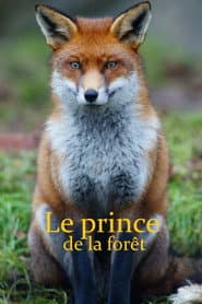 Le Prince de la forêt