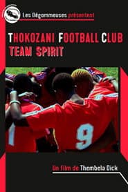 Thokozani Football Club: Team Spirit