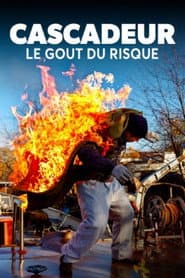 Stunts – Das Leben aufs Spiel setzen?