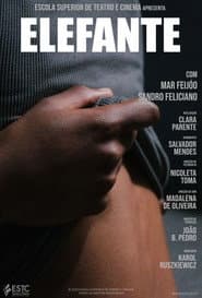 Elefante