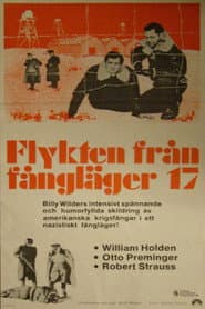 Fångläger nr 17