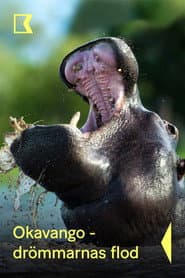 Okavango – drömmarnas flod