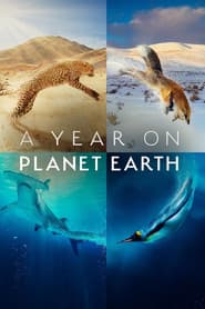 Ett år på planeten jorden