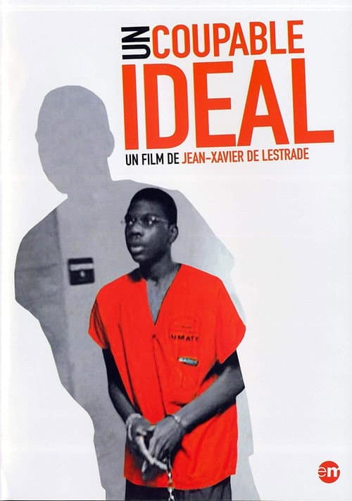 En idealisk misstänkt