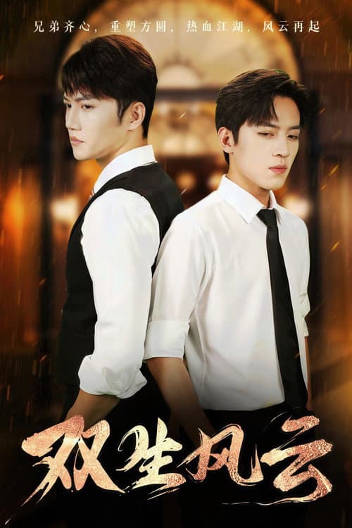 双生风云