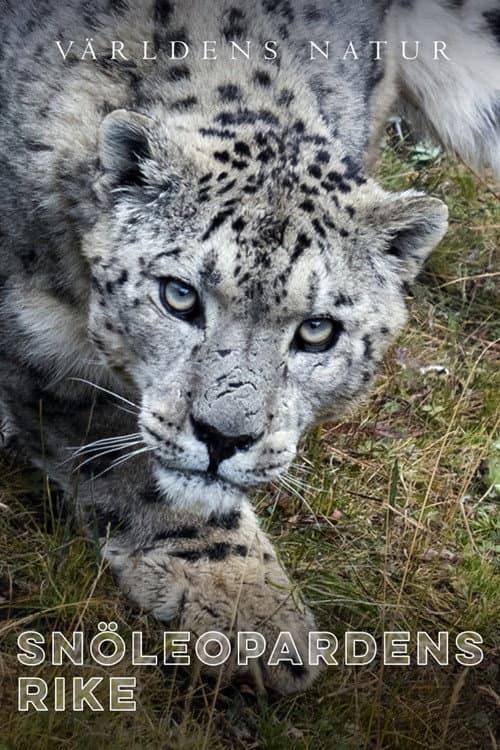 Snöleopardens rike