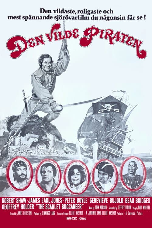 Den vilde piraten