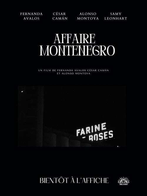 Affaire Montenegro