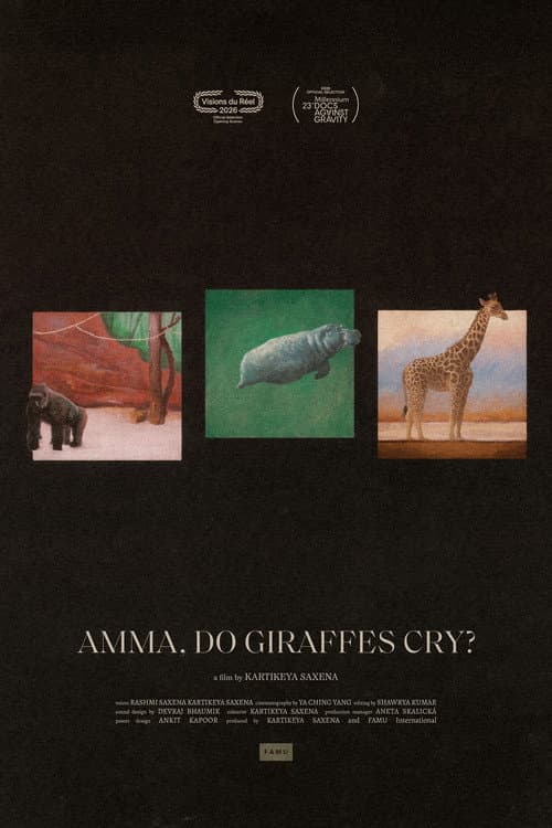 Amma, Do Giraffes Cry?