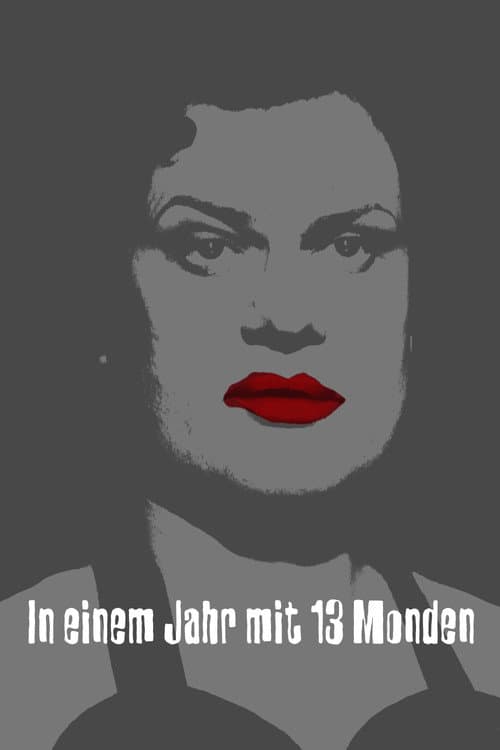 Ett år med tretton månar