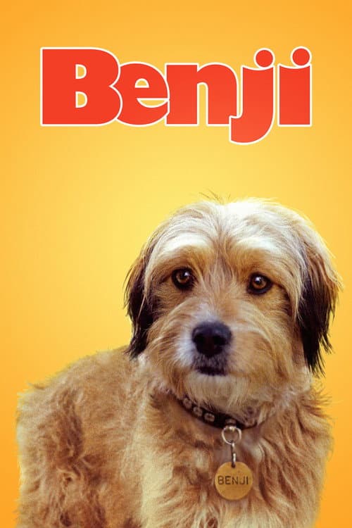 Benji - alla tiders hjälte