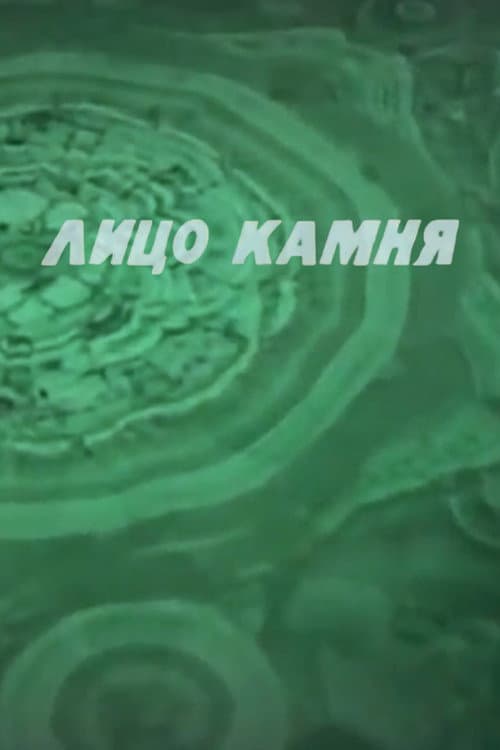 Лицо камня