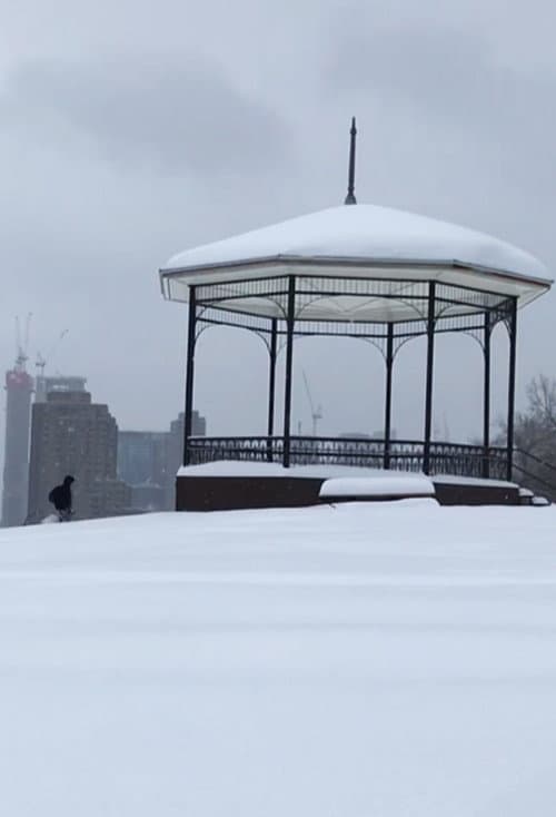 Después de una Tormenta de nieve