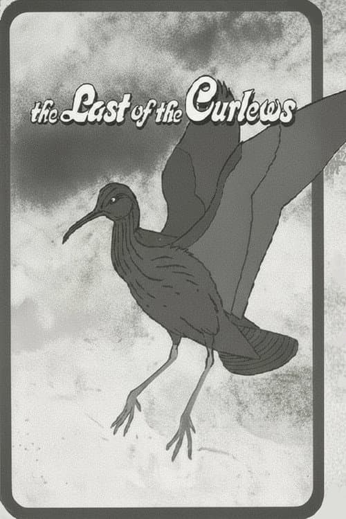 The Last of the Curlews