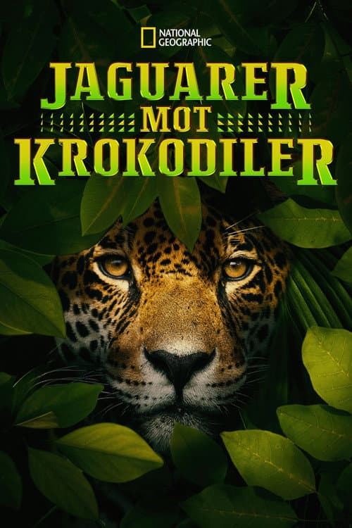 Jaguar vs. Krokodille