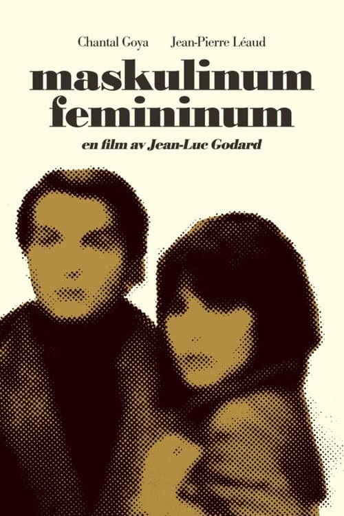 Maskulinum - femininum