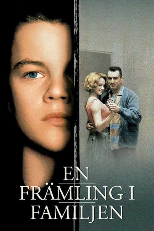 En främling i familjen