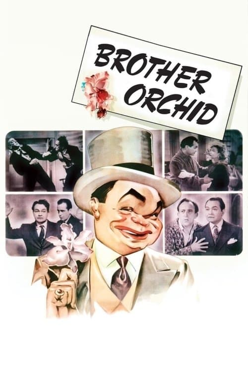 Mr Sarto gör razzia