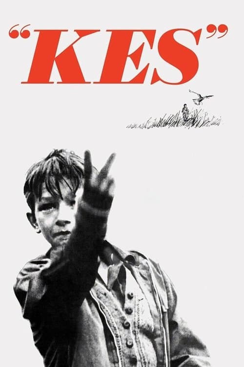 Kes – falken