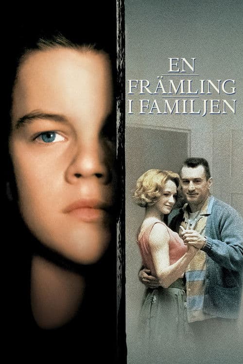 En främling i familjen