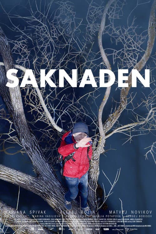 Saknaden