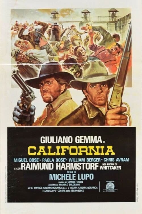 California - mannen utan lag
