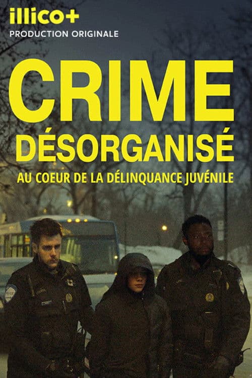 Crime désorganisé: au cœur de la délinquance juvénile
