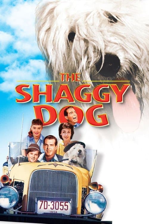Shaggy ä'de'du de'?