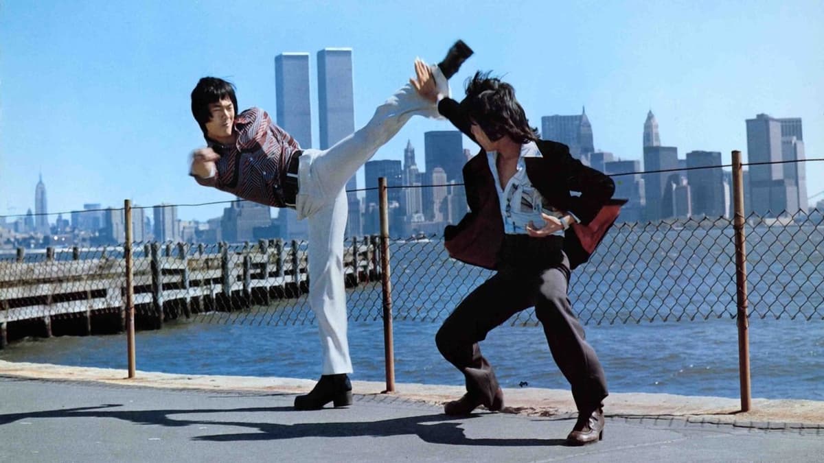 Bruce Lee - The Man, The Myth
