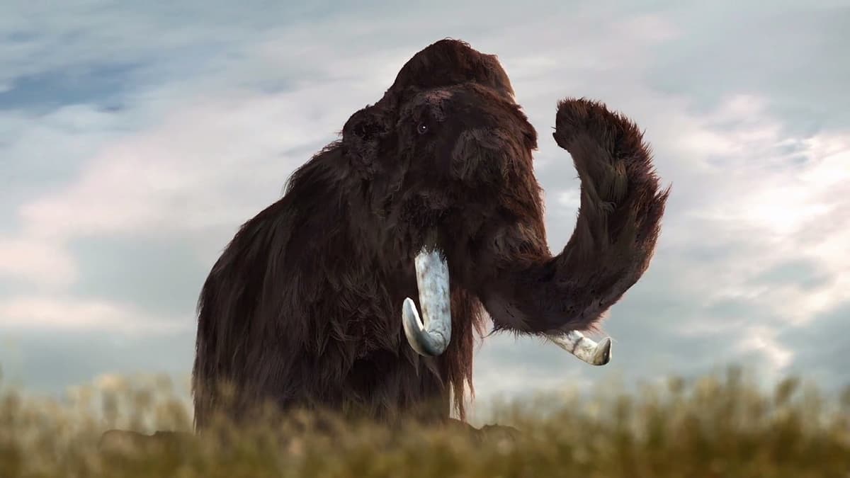 Mammuten: istidens gigant
