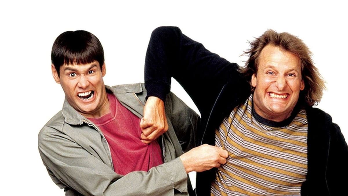 Dum & dummare